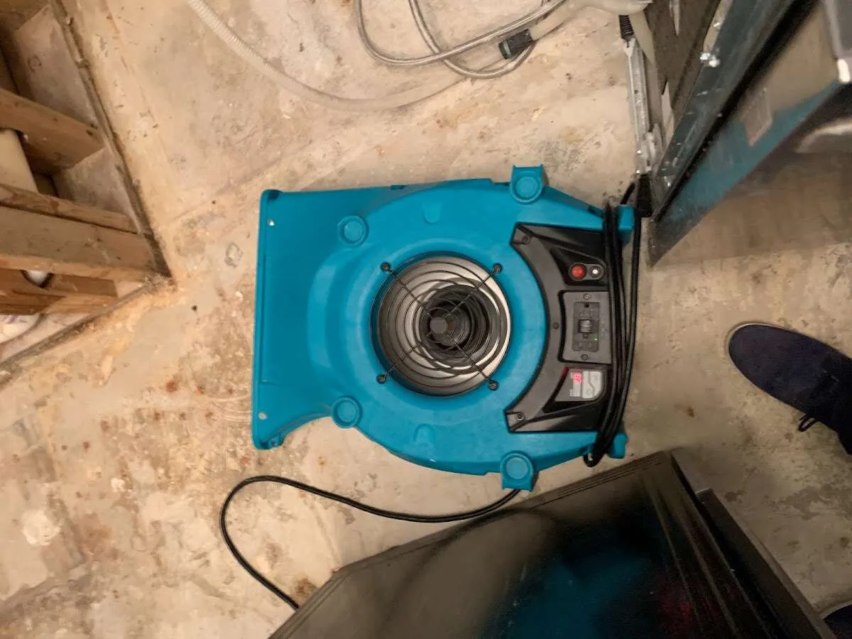 Air mover drying equipment for Mold Remediation & Removal in Elmsford